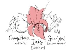 Atelier Cologne Iris Rebelle -Parfum Boutique atelier cologne iris rebelle eau de parfum mixte 2