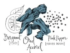 Atelier Cologne Oud Saphir -Parfum Boutique atelier cologne oud saphir eau de parfum mixte 5