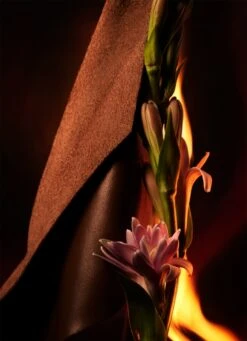 BULGARI Bvlgari Man In Black 11 BULGARI Bvlgari Man In Black -Parfum Boutique bulgari bvlgari man in black eau de parfum pour homme 2