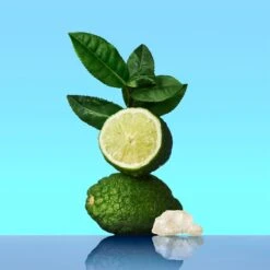 Calvin Klein CK One -Parfum Boutique calvin klein ck one eau de toilette mixte 2