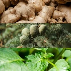 Calvin Klein Euphoria Men 9 Calvin Klein Euphoria Men -Parfum Boutique calvin klein euphoria men eau de toilette pour homme 2