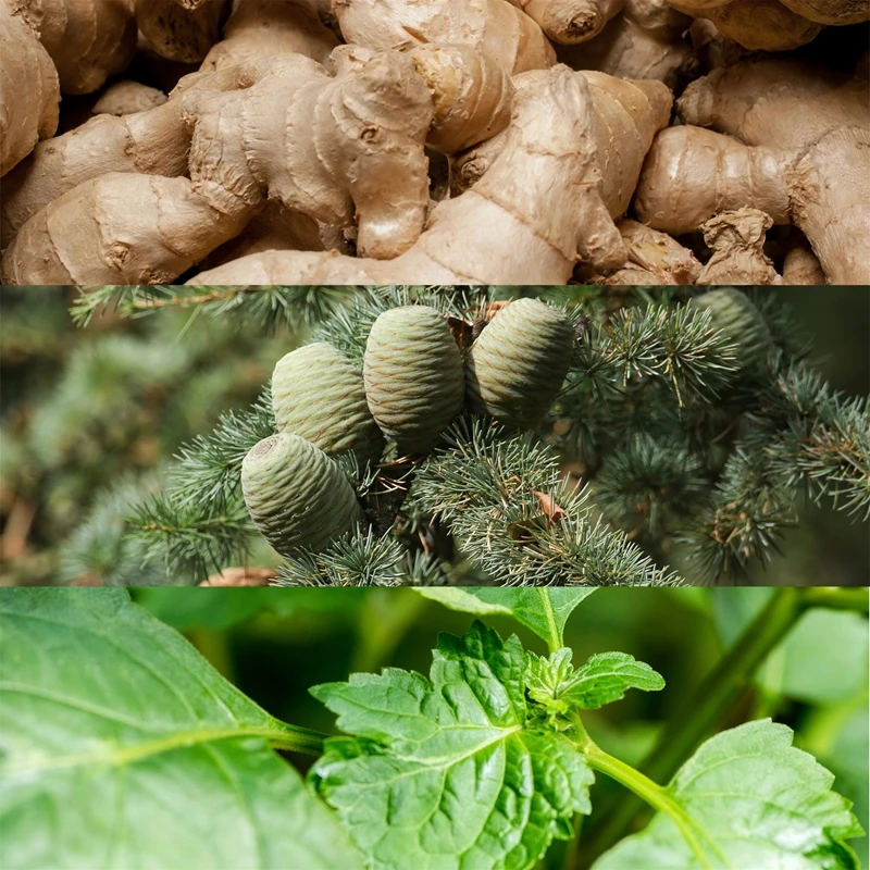 Calvin Klein Euphoria Men 6 Calvin Klein Euphoria Men – Image 4