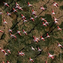 GUERLAIN Aqua Allegoria Rosa Rossa -Parfum Boutique guerlain aqua allegoria rosa rossa eau de toilette rechargeable pour femme 4