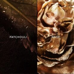 GUERLAIN Les Absolus D'Orient Patchouli Ardent 8 GUERLAIN Les Absolus D'Orient Patchouli Ardent -Parfum Boutique guerlain les absolus dorient patchouli ardent eau de parfum mixte 2