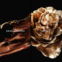 GUERLAIN Les Absolus D&apos;Orient Santal Royal -Parfum Boutique guerlain les absolus dorient santal royal eau de parfum mixte 2