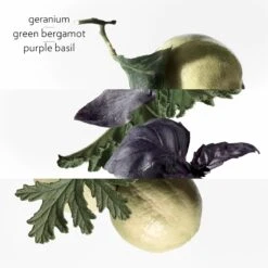 Hermès HERMÈS Colognes Collection Eau De Basilic Pourpre -Parfum Boutique hermes colognes collection eau de basilic pourpre eau de cologne mixte 2