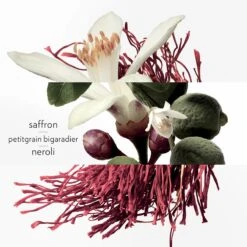 Hermès HERMÈS Colognes Collection Eau De Néroli Doré -Parfum Boutique hermes colognes collection eau de neroli dore eau de cologne mixte