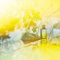 Hermès HERMÈS Le Jardin De Monsieur Li -Parfum Boutique hermes le jardin de monsieur li eau de toilette mixte 1