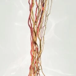 Hugo Boss BOSS Alive Parfum -Parfum Boutique hugo boss boss alive parfum parfum pour femme 4