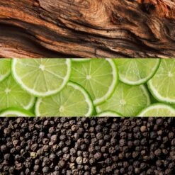 Lacoste Essential -Parfum Boutique lacoste essential eau de toilette pour homme 1