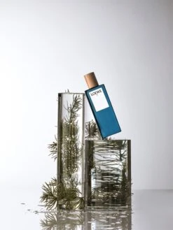 Loewe 7 7 Loewe 7 -Parfum Boutique loewe 7 eau de toilette pour homme 1