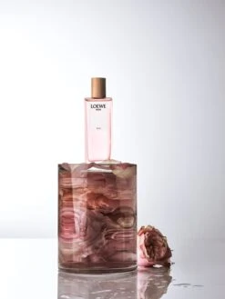 Loewe Agua Ella -Parfum Boutique loewe agua ella eau de toilette pour femme 1