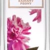 Oriflame Women´s Collection Radiant Peony 2 Oriflame Women´s Collection Radiant Peony -Parfum Boutique oriflame womens collection radiant peony eau de toilette pour femme