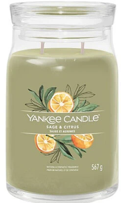 Yankee Candle Bougie Parfumée En Jarre Avec 2 Mèches, Sauge Et Agrumes