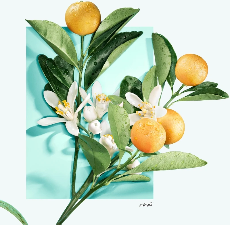 Tiffany & Co. Tiffany & Love 5 Tiffany & Co. Tiffany & Love – Image 3