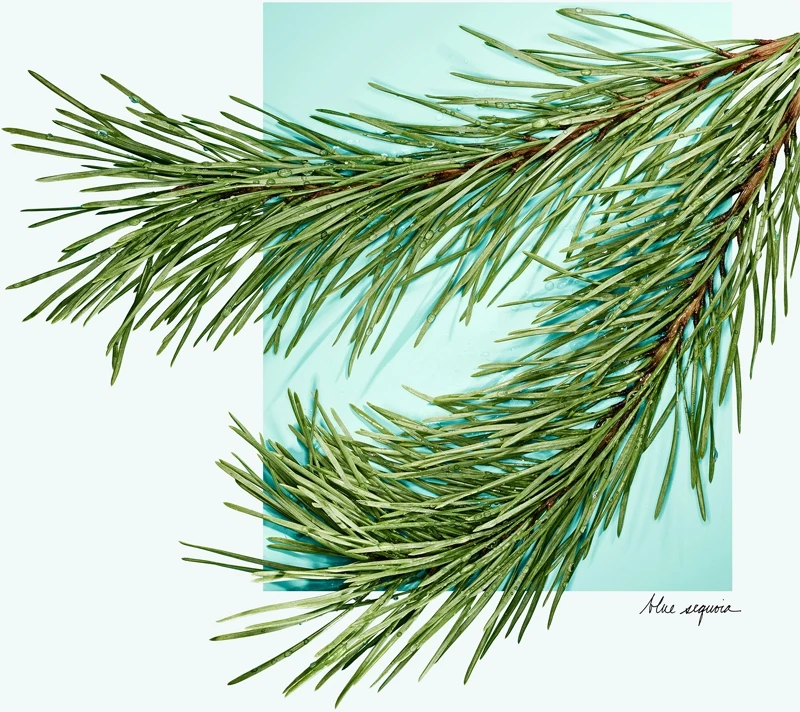 Tiffany & Co. Tiffany & Love 6 Tiffany & Co. Tiffany & Love – Image 4