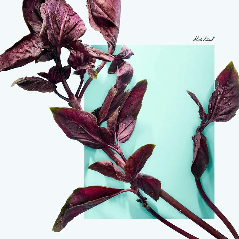 Tiffany & Co. Tiffany & Love 7 Tiffany & Co. Tiffany & Love – Image 5