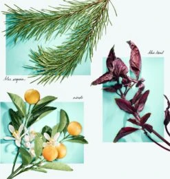 Tiffany & Co. Tiffany & Love 13 Tiffany & Co. Tiffany & Love -Parfum Boutique tiffany co tiffany love eau de parfum pour femme 5