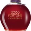 Viktor&Rolf Viktor & Rolf GOOD FORTUNE ELIXIR INTENSE -Parfum Boutique viktor rolf good fortune elixir intense eau de parfum pour femme