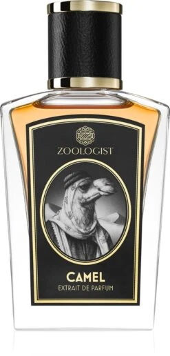 Zoologist Camel