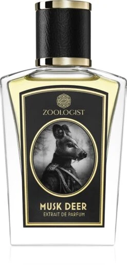 Zoologist Musk Deer